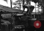 Immagine di 8° Fighter Group Morotai Island Indonesia, 1944, secondo 54 filmato di repertorio 65675068922