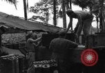 Immagine di 8° Fighter Group Morotai Island Indonesia, 1944, secondo 55 filmato di repertorio 65675068922