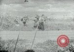 Image of Operation Junction City South Vietnam, 1967, second 9 stock footage video 65675068937