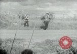 Image of Operation Junction City South Vietnam, 1967, second 12 stock footage video 65675068937