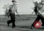 Image of Operation Junction City South Vietnam, 1967, second 20 stock footage video 65675068937