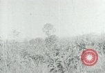 Image of Operation Junction City South Vietnam, 1967, second 35 stock footage video 65675068937