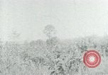 Image of Operation Junction City South Vietnam, 1967, second 36 stock footage video 65675068937