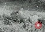 Image of Operation Junction City South Vietnam, 1967, second 54 stock footage video 65675068937