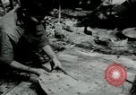 Image of Operation Junction City South Vietnam, 1967, second 12 stock footage video 65675068938