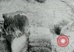 Image of Vietnamese women South Vietnam, 1967, second 10 stock footage video 65675068939