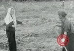 Image of Vietnamese women South Vietnam, 1967, second 20 stock footage video 65675068939