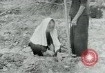 Image of Vietnamese women South Vietnam, 1967, second 24 stock footage video 65675068939