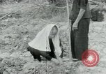 Image of Vietnamese women South Vietnam, 1967, second 25 stock footage video 65675068939