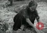 Image of Vietnamese women South Vietnam, 1967, second 38 stock footage video 65675068939