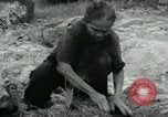 Image of Vietnamese women South Vietnam, 1967, second 39 stock footage video 65675068939