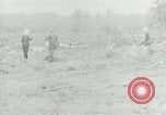 Image of Vietnamese women South Vietnam, 1967, second 45 stock footage video 65675068939