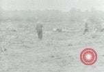 Image of Vietnamese women South Vietnam, 1967, second 50 stock footage video 65675068939
