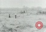 Image of Vietnamese women South Vietnam, 1967, second 62 stock footage video 65675068939