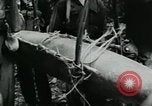 Image of Operation Junction City South Vietnam, 1967, second 11 stock footage video 65675068940
