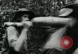 Image of Operation Junction City South Vietnam, 1967, second 14 stock footage video 65675068940