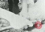 Image of Operation Junction City South Vietnam, 1967, second 17 stock footage video 65675068940