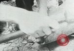 Image of Operation Junction City South Vietnam, 1967, second 18 stock footage video 65675068940