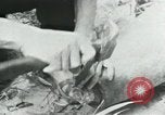 Image of Operation Junction City South Vietnam, 1967, second 21 stock footage video 65675068940
