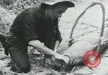 Image of Operation Junction City South Vietnam, 1967, second 22 stock footage video 65675068940