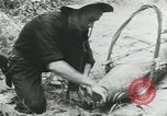 Image of Operation Junction City South Vietnam, 1967, second 23 stock footage video 65675068940
