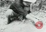 Image of Operation Junction City South Vietnam, 1967, second 35 stock footage video 65675068940
