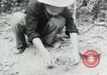 Image of Operation Junction City South Vietnam, 1967, second 36 stock footage video 65675068940