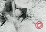 Image of Operation Junction City South Vietnam, 1967, second 40 stock footage video 65675068940