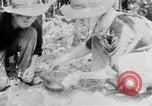 Image of Operation Junction City South Vietnam, 1967, second 45 stock footage video 65675068940