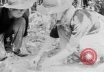 Image of Operation Junction City South Vietnam, 1967, second 46 stock footage video 65675068940