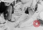 Image of Operation Junction City South Vietnam, 1967, second 50 stock footage video 65675068940