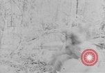 Image of Operation Junction City South Vietnam, 1967, second 9 stock footage video 65675068941