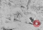 Image of Operation Junction City South Vietnam, 1967, second 22 stock footage video 65675068941