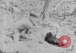 Image of Operation Junction City South Vietnam, 1967, second 25 stock footage video 65675068941