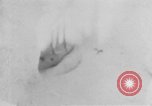 Image of Operation Junction City South Vietnam, 1967, second 44 stock footage video 65675068941
