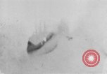Image of Operation Junction City South Vietnam, 1967, second 47 stock footage video 65675068941