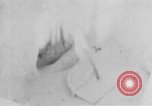 Image of Operation Junction City South Vietnam, 1967, second 49 stock footage video 65675068941