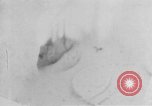 Image of Operation Junction City South Vietnam, 1967, second 53 stock footage video 65675068941