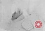Image of Operation Junction City South Vietnam, 1967, second 54 stock footage video 65675068941