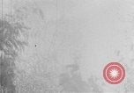 Image of Operation Junction City South Vietnam, 1967, second 29 stock footage video 65675068942