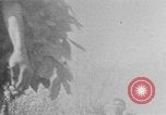 Image of Operation Junction City South Vietnam, 1967, second 38 stock footage video 65675068942
