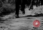 Image of Operation Junction City South Vietnam, 1967, second 49 stock footage video 65675068942