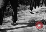 Image of Operation Junction City South Vietnam, 1967, second 53 stock footage video 65675068942