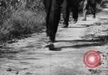 Image of Operation Junction City South Vietnam, 1967, second 54 stock footage video 65675068942