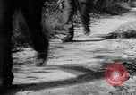 Image of Operation Junction City South Vietnam, 1967, second 56 stock footage video 65675068942