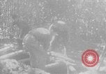 Immagine di Operazione Junction City Vietnam del Sud, 1967, secondo 6 filmato di repertorio 65675068944