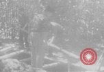 Immagine di Operazione Junction City Vietnam del Sud, 1967, secondo 11 filmato di repertorio 65675068944