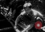 Immagine di Operazione Junction City Vietnam del Sud, 1967, secondo 13 filmato di repertorio 65675068944