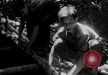 Immagine di Operazione Junction City Vietnam del Sud, 1967, secondo 14 filmato di repertorio 65675068944