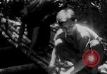 Immagine di Operazione Junction City Vietnam del Sud, 1967, secondo 15 filmato di repertorio 65675068944